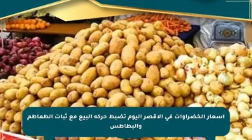 أسعار الخضراوات في الأقصر اليوم تضبط حركة البيع مع ثبات الطماطم والبطاطس